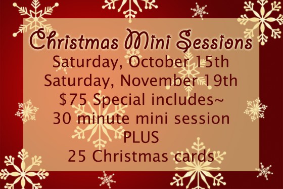 Christmas Mini Session Rockport Tx Family Photographer