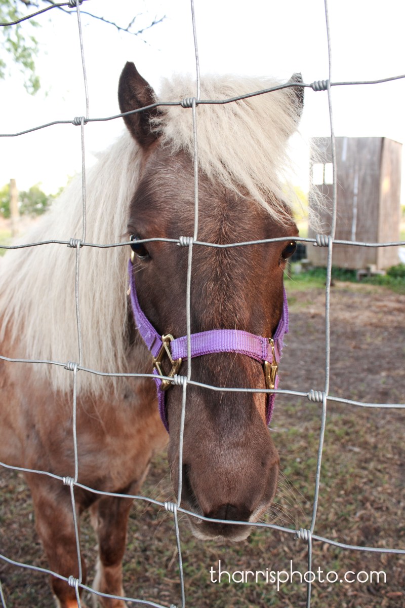 Senior Session Miss A {Senior Photography~Rockport, Texas area}