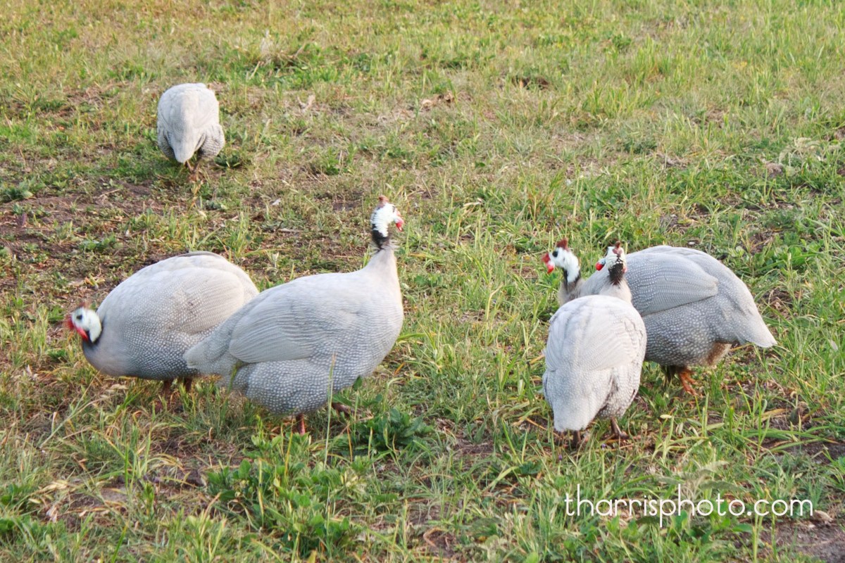 Senior Session Miss A {Senior Photography~Rockport, Texas area}