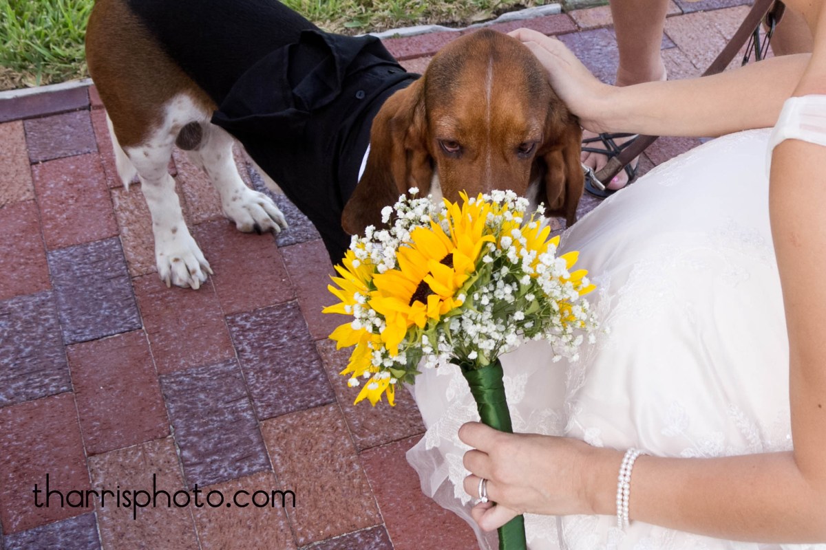 Mr+Mrs=Love {Couple Photogrpahy~Rockport, Texas area}